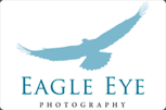 eagle eye logo